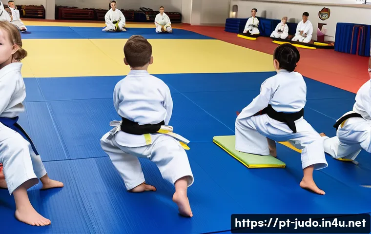 유도 전용 매트 종류 관련 이미지 1