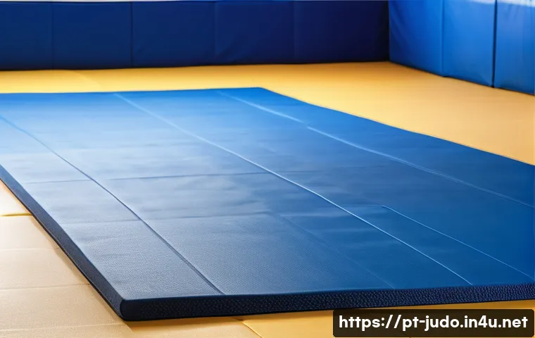 유도 전용 매트 종류 관련 이미지 2